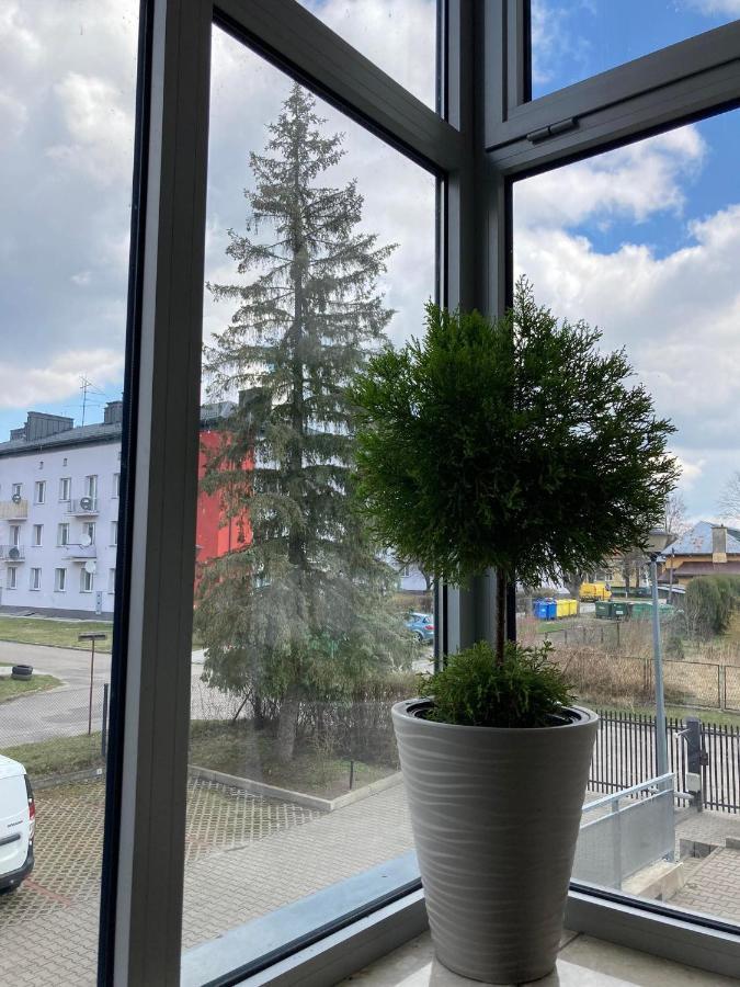 Apartament Miodowa 9 Zwierzyniec Exterior foto